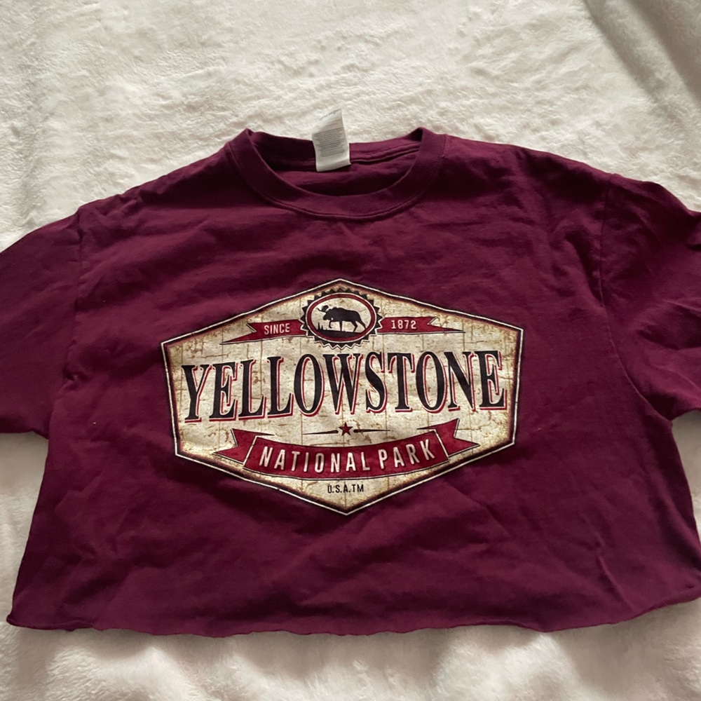 Red yellow stone shirt cropped